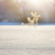 Csm snow 1236245 1920 02 01ba110e39