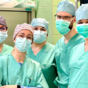 Dyżur replantacyjny w gliwicach