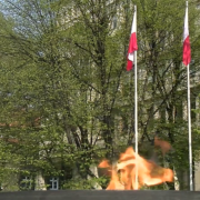 Dzienflagi