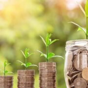 Ekologia czy ekonomia