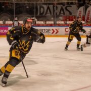 Gks katowice hokej