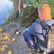 Granaty w stawie w bytomiu