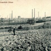 Huta silesia zbiórka pamiątek