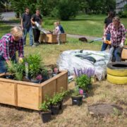 Inicjatywa lokalna katowice