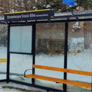 autobusy linii M109, 49, 84, 984 i 903N wrócą na stałe trasy