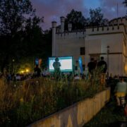 Kino plenerowe bytom