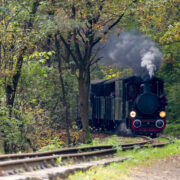 Kolej wąskotorowa bytom