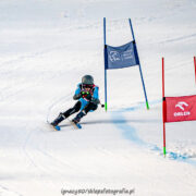 Maciej straczek tarnowskie gory