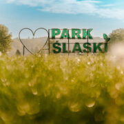 Majowka w parku slaskim