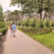 Miejski sad w gliwicach