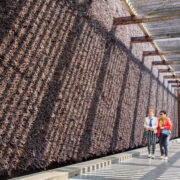 Modernizacje w parku Zadole