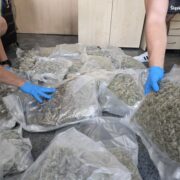 Narkotyki w walizach