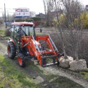 Nasadzenia w katowicach