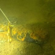 Niewybuch jezioro czechowickie