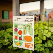 Ogród fabryczny stworzony w Dąbrowie Górniczej na terenie Fabryki Pełnej Życia