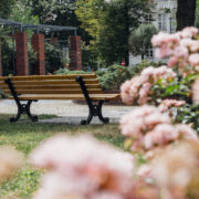 Park kieszonkowy gliwice