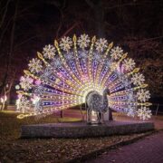 Park miliona swiatel zabrze 2022 fot Pawel Ja Nic Janicki 164 scaled