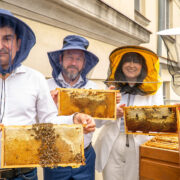 Pasieka na dachu urzedu wojewodzkiego