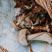 Pexels cottonbro 6034382