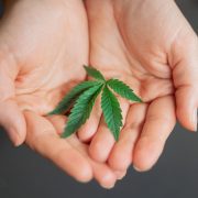 Pexels kindel media 7667811