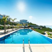 Pexels quark studio 2506988