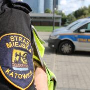 Pijani rodzice katowice