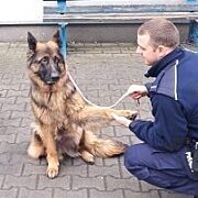Policjant zaopiekowal sie psem