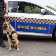 Prima straz miejska czestochowa