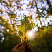 Gliwice prowadzą program Czyste Powietrze, w którym dofinansują ekologiczne źródła ciepła na lata 2024/2025