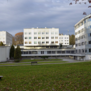 Repty slaskie skierowanie