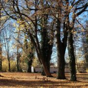 Rewitalizacja parku przy bielskim pediatryku