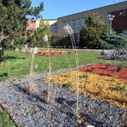 Rudzka inicjatywa lokalna 2025