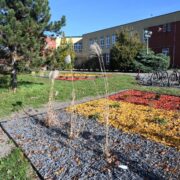 Rudzka inicjatywa lokalna