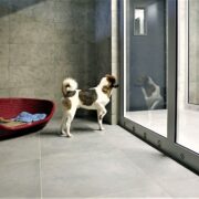 Schronisko w gliwicach