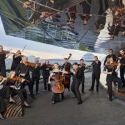 Slaska orkiestra kameralna