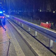 Smiertelne potracenie na DK81