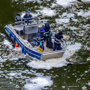 Sniete ryby dzierzno