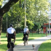 Straz miejska w katowicach 2