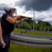 Ustawka pseudokibiców mszana