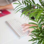 Wakacje składkowe zus