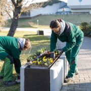 Wiosenne porzadki w katowicach