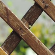 Wood texture g70e595cdd 1920