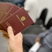 Zatrzymania imigrantow