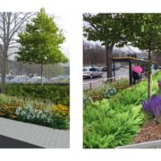 Zielone przystanki w katowicach