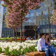 Zielony budzet w katowicach