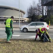 Śmieci porzucone w terenach zielonych 1