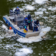 Śniete ryby dzierzno