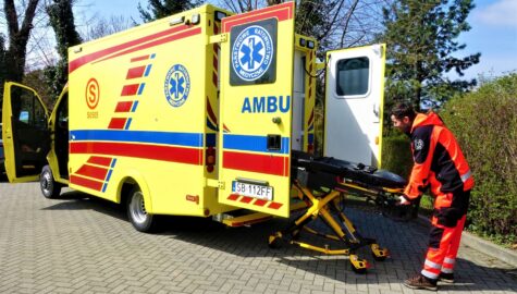 Asset6448e63d30e078 11311154