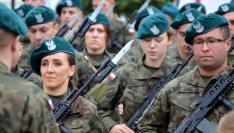02017 0073 Karpatenvorland WOT Brigade