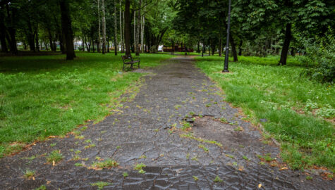 2023 08 01 PARK Z ZEGAREM 35